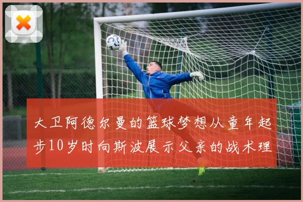大卫阿德尔曼的篮球梦想从童年起步10岁时向斯波展示父亲的战术理念