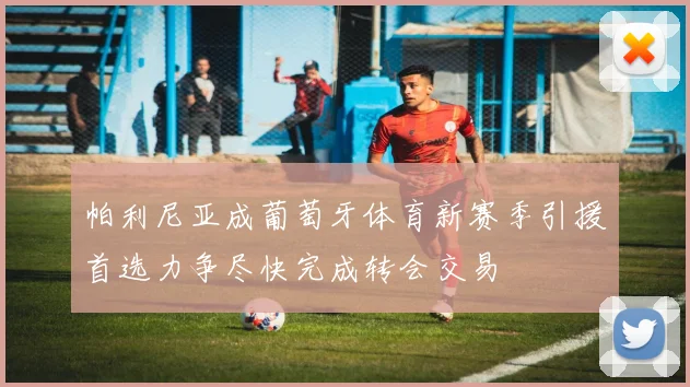 帕利尼亚成葡萄牙体育新赛季引援首选力争尽快完成转会交易