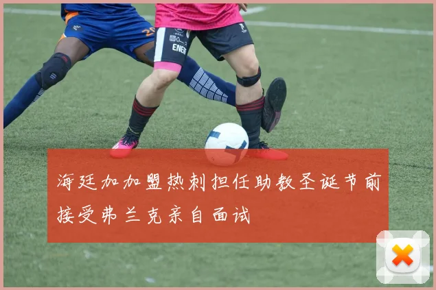 海廷加加盟热刺担任助教圣诞节前接受弗兰克亲自面试